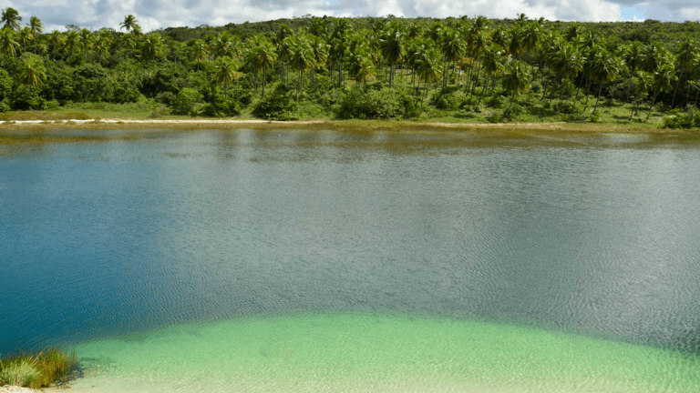 Puro encantamento: conheça o Baixio