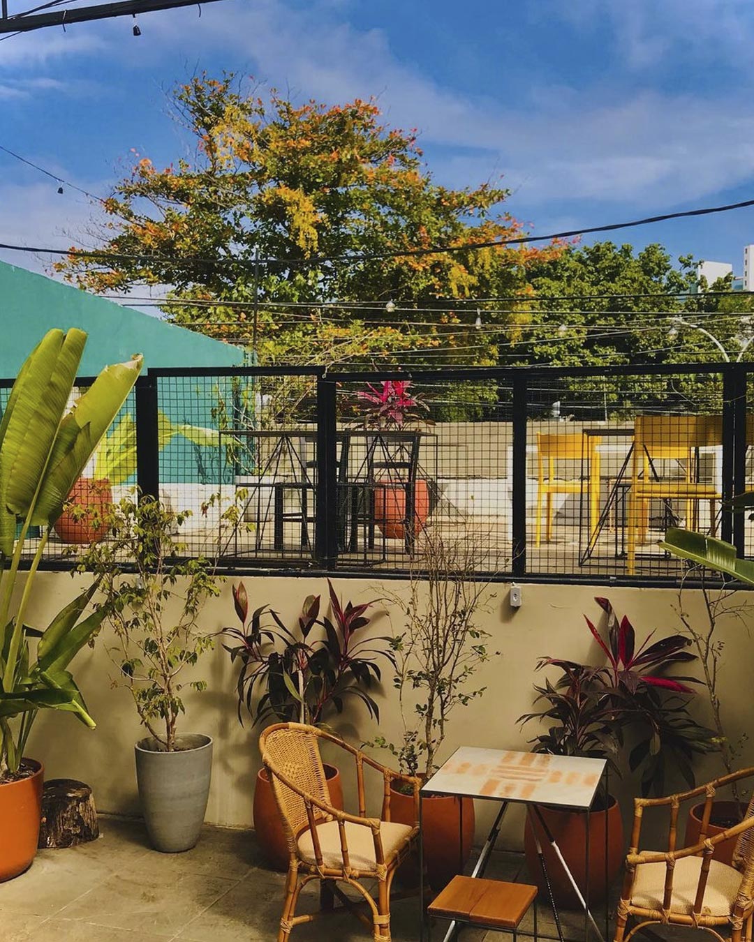 Conheça as Melhores Cafeterias de Salvador: A Cafeteria Botânica