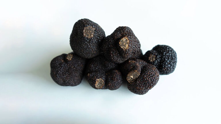 O que são Trufas, suas variedades e curiosidades