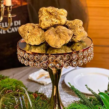 Chef italiano paga mais de 650 mil reais por uma trufa branca Trufas brancas