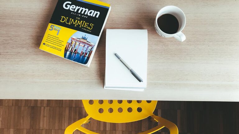 5 Dicas Para Aprender Um Idioma Sozinho