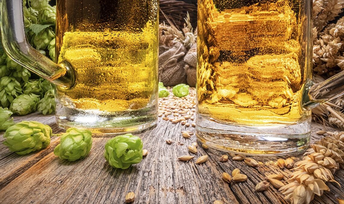 Fábrica baiana de cerveja abre instalações para “cervejarias ciganas”