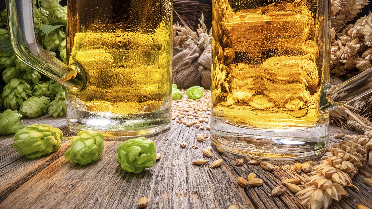 Fábrica baiana de cerveja abre instalações para “cervejarias ciganas”