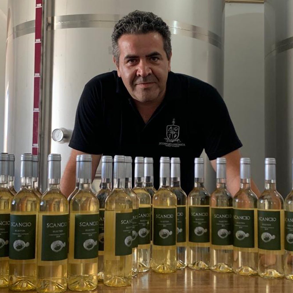 José Carlos Santanita da Rodrigues Santanita Family Winery empresa portuguesa divulgação