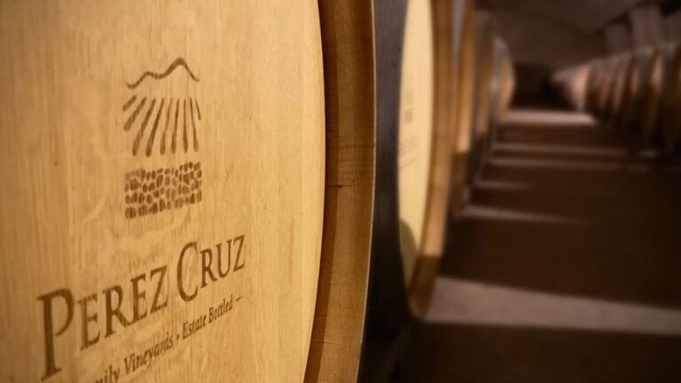 2ª Wine Dez: feira vai reunir consumidores e produtores no Yacht Clube em Salvador