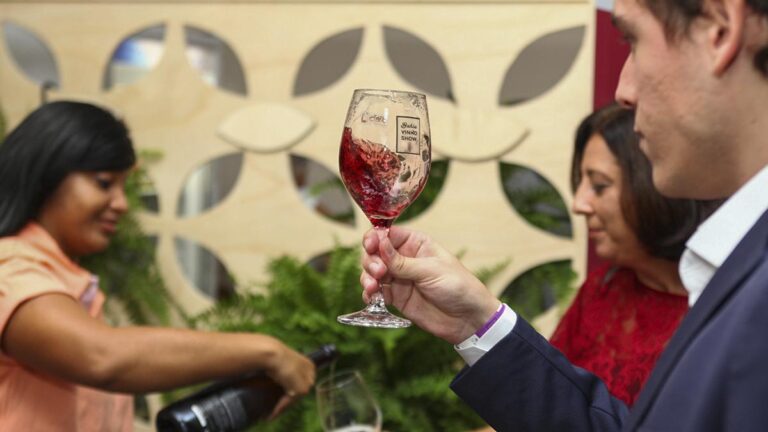 Bahia Vinho Show será realizado essa semana em Salvador