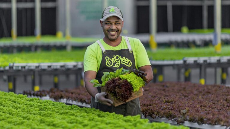 BeGreen Salvador Completa um ano