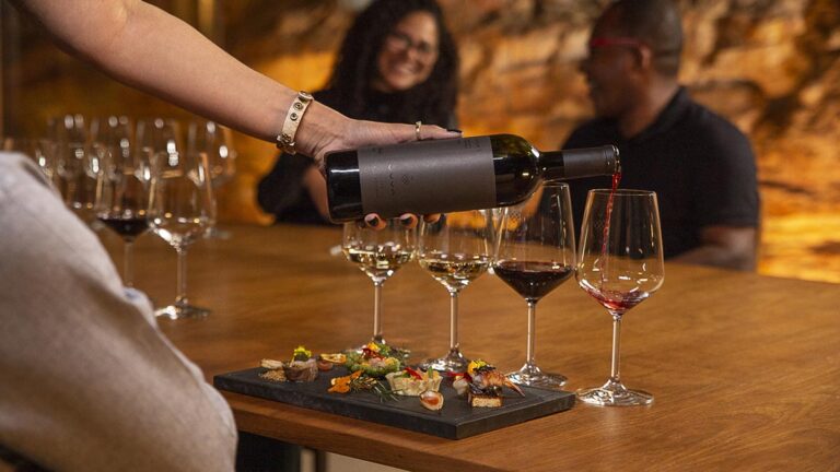 Vinícola UVVA, na Chapada Diamantina, conquista prêmios notáveis em seu 1º ano no mercado