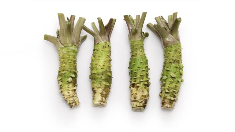 Wasabi: o que estamos comendo não é o que pensamos