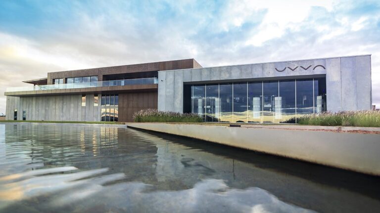 Vinícola UVVA conquista reconhecimento no Guia Descorchados 2023 com oito rótulos acima de 90 pontos