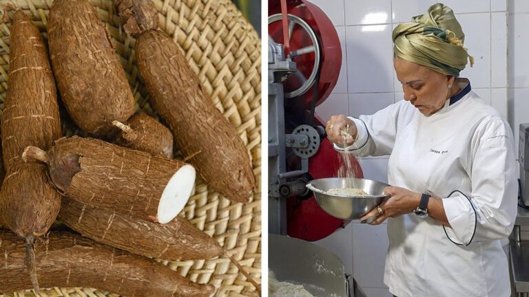 Dia da Mandioca: para celebrar a data, a Chef Tereza Paim ensina receita especial