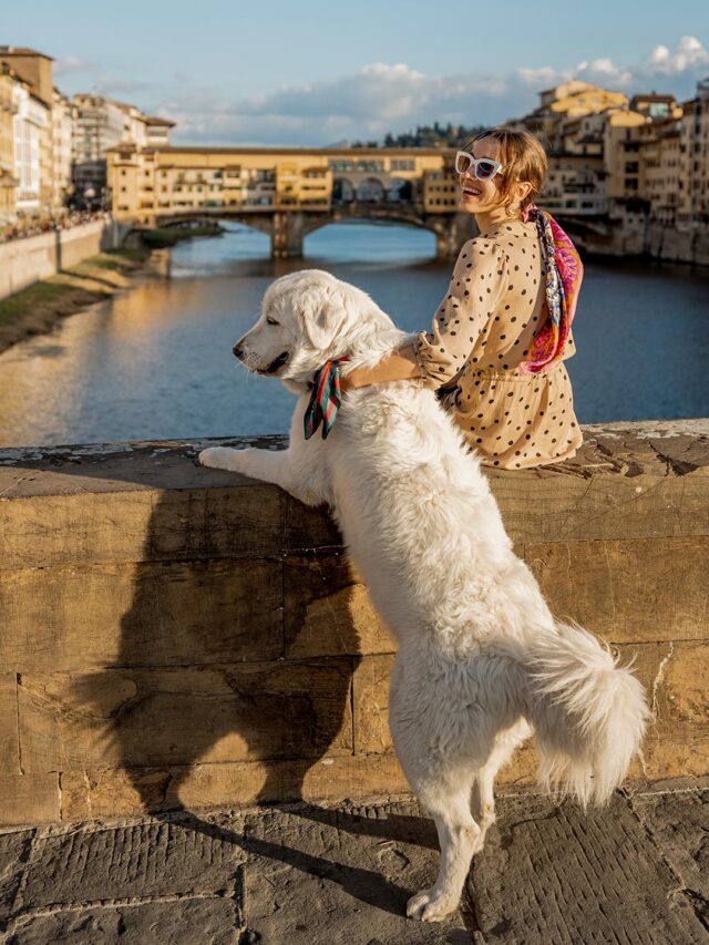 hotel com pet, turismo pet friendly, destino pet friendly