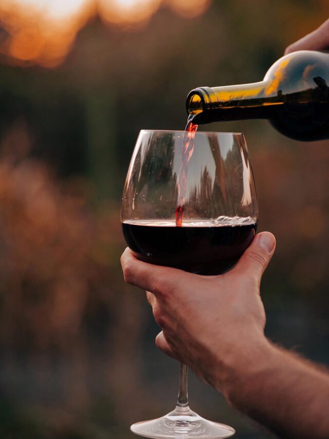 Vinhos brasileiros premiados Dia do Vinho Nacional Vinícolas de destaque no Brasil