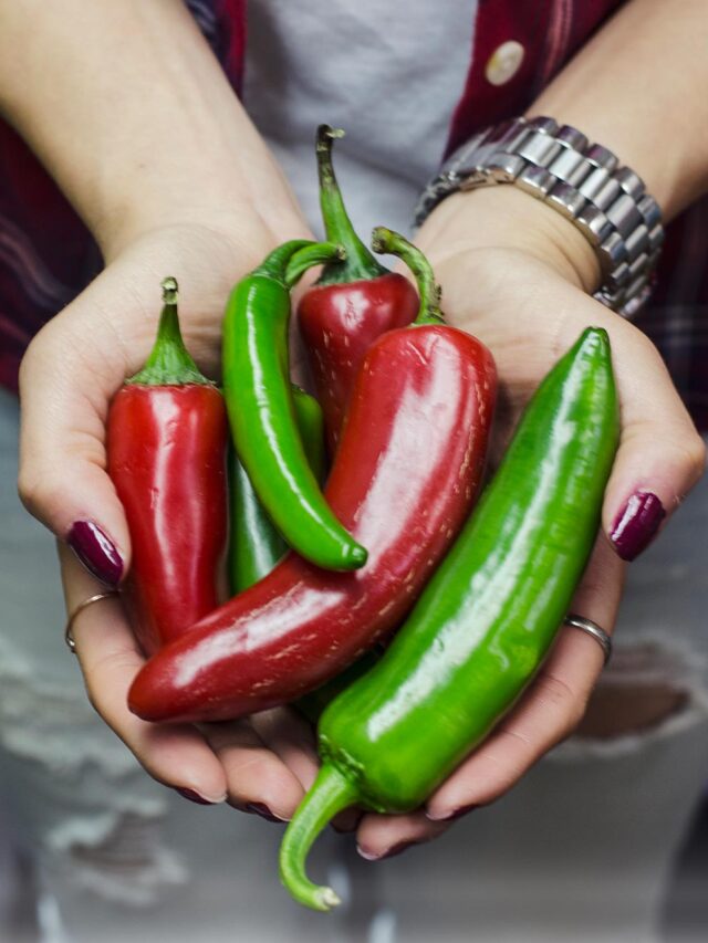 as-10-pimentas-mais-ardentes-do-mundo