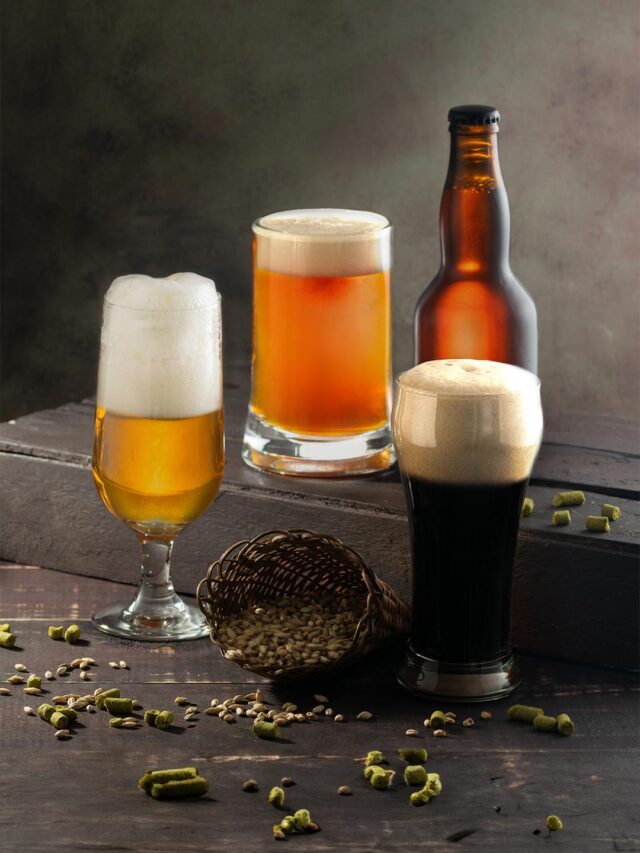 Variedade de cervejas Ale