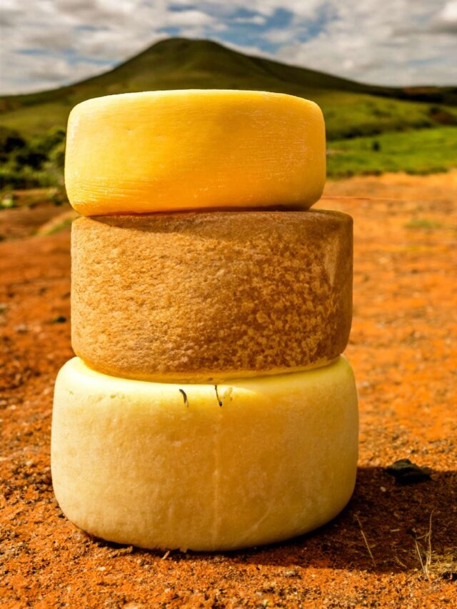 Minas Gerais: O Berço do Queijo Brasileiro