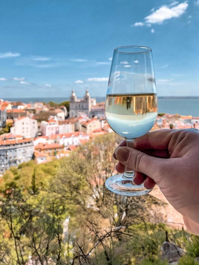 Vinhos de Portugal: As regiões vinícolas que encantam o mundo