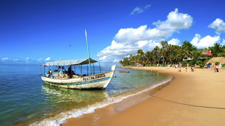 Tempero no Forte 2023 já tem data e movimentará a Costa dos Coqueiros