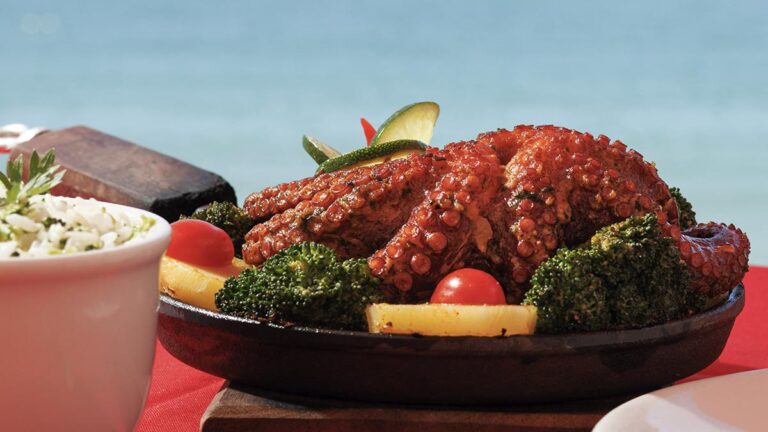 Festival Tempero no Forte 2023: Uma Celebração Gastronômica e Cultural na Costa dos Coqueiros