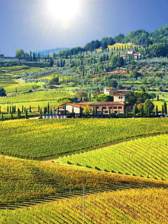 Chianti: Explorando os Vinhos do Coração da Toscana