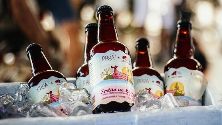 Sertão ao Litoral: Proa Cervejaria e Graveteiro Lançam Catharina Sour Colaborativa