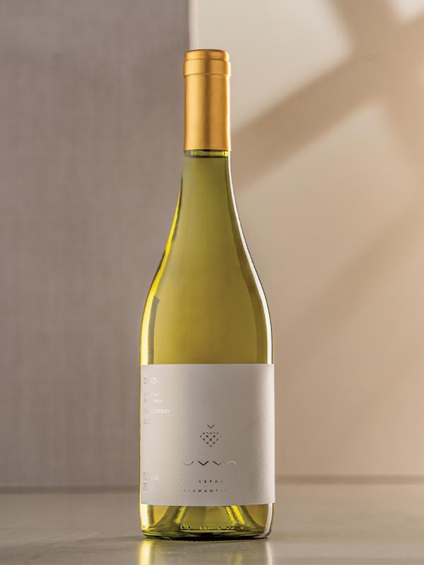 Chardonnay 2022 da Vinícola UVVA, ouro no Vinalies Internationales 2024