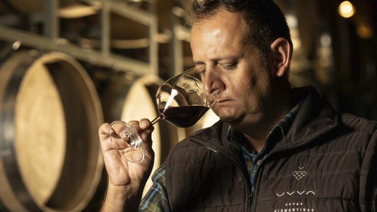 Bahia Vinho Show Celebra 10 Edições Com Grandes Atrações