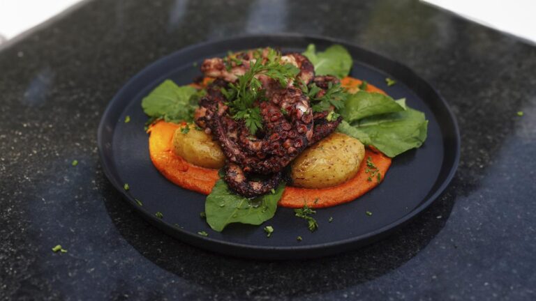 Festival Praia do Forte A Seu Gosto 2024: Gastronomia e Cultura em Destaque