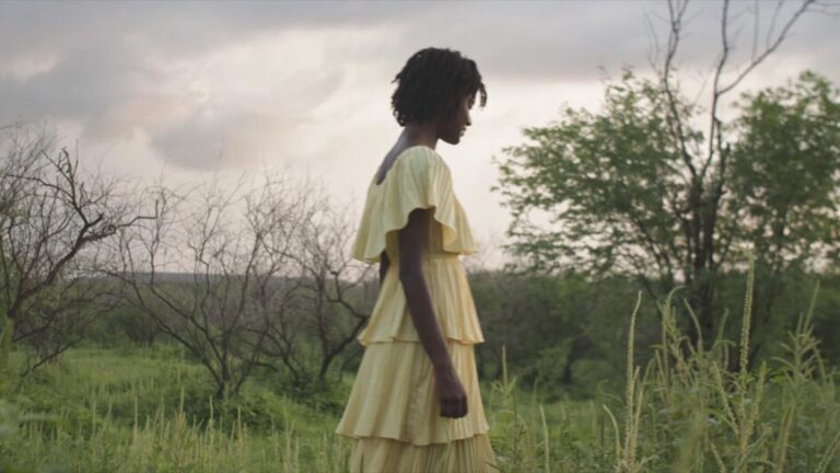 Mostra de Cinemas Africanos: Salvador Sedia Encontro Inédito e Exibe Filmes Exclusivos