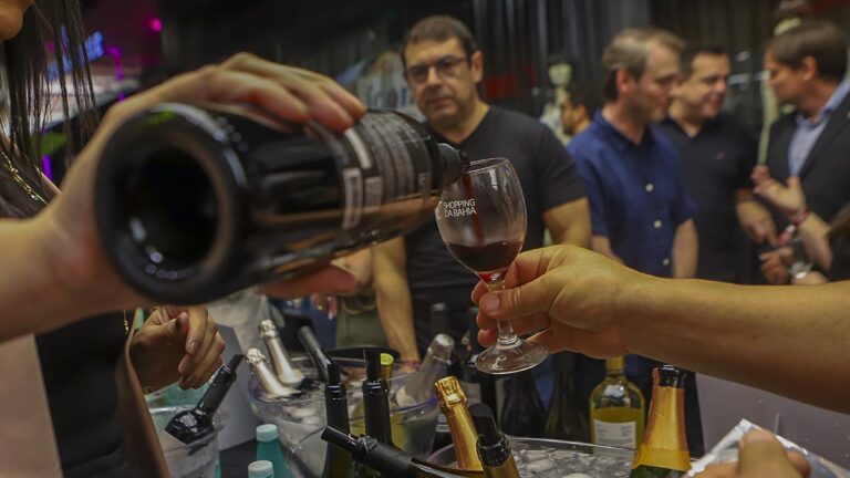 Wine Dez 2024 reúne 50 Vinícolas no Shopping da Bahia