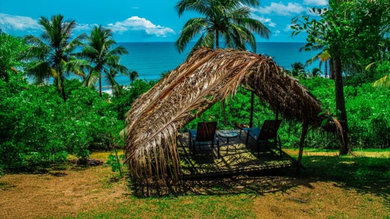 Morro dos Navegantes: onde a natureza encontra a gastronomia de Dani Façanha