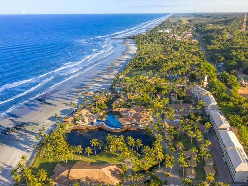 Temporada das Baleias em Ilhéus: Um espetáculo da natureza com 95% de chance de avistagem Cana Brava Resort