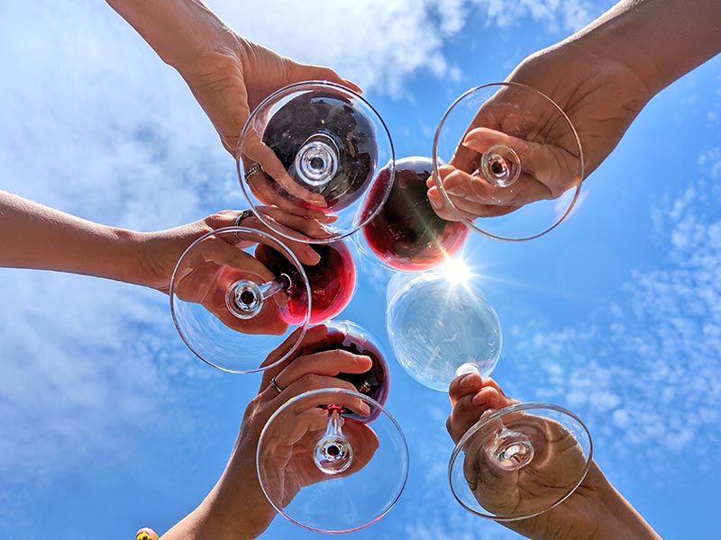 Do medo ao prazer: como escolher vinho com confiança e leveza como escolher vinho