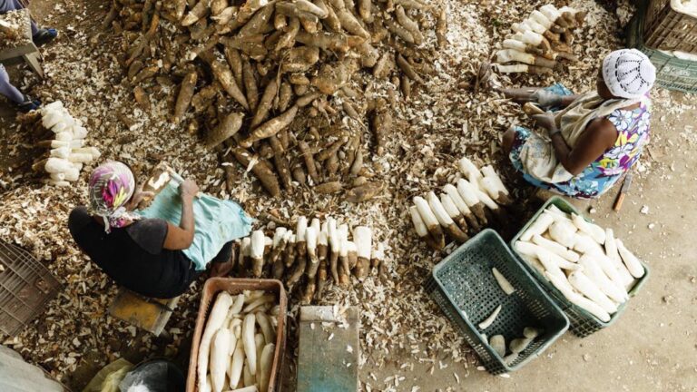 Festival Tempero Bahia 2025 celebra os biomas do estado