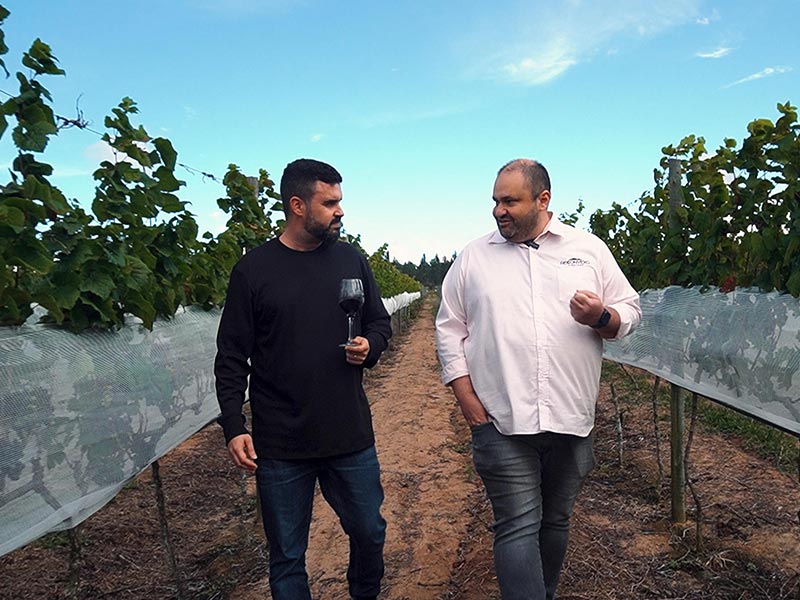Vindima na Bahia? A magia do vinho floresce em Morro do Chapéu joao carlos ramos felipe havok