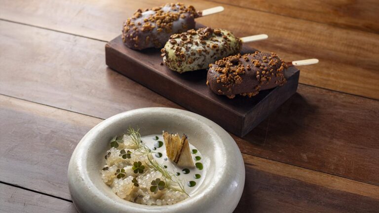 Festival Tempero Bahia 2025: 57 Restaurantes Celebram Biomas da Bahia