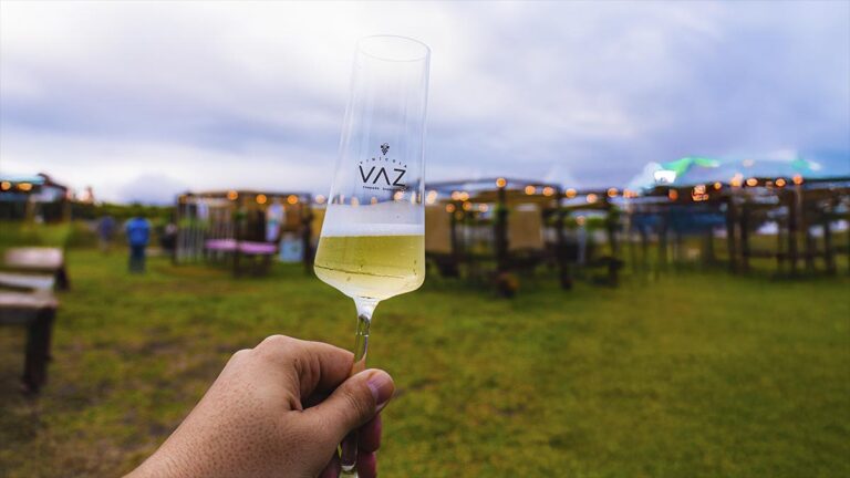 Vindima na Bahia? A magia do vinho floresce em Morro do Chapéu