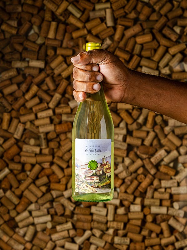 vinhos exclusivos la pasta gialla