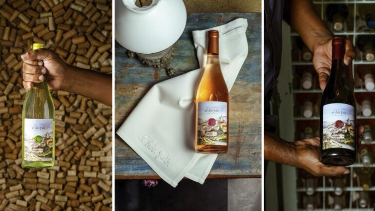 Vinhos exclusivos do sul da Itália no La Pasta Gialla