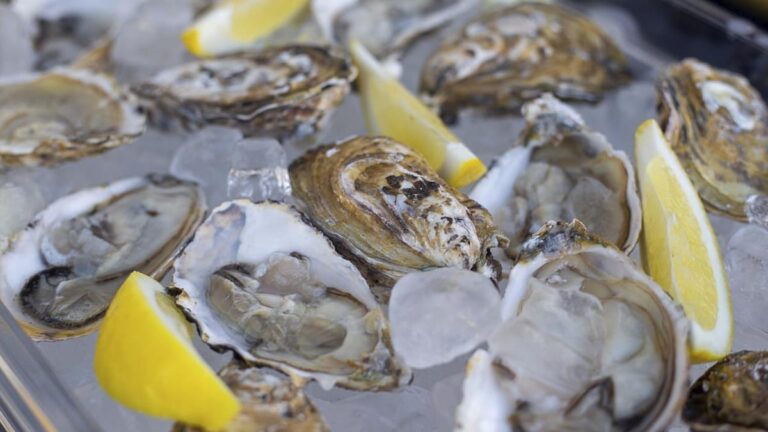 Tarde de Vinhos e Ostras no Santo Antônio Além do Carmo