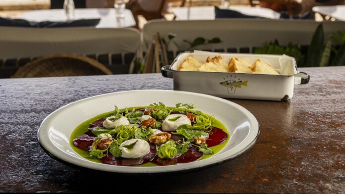 participantes-festival-tempero-do-forte Festival Tempero no Forte, restaurantes Praia do Forte, Circuito Gastronômico Bahia, chefs baianos, pratos típicos Bahia, turismo gastronômico Salvador, comida regional Litoral Norte