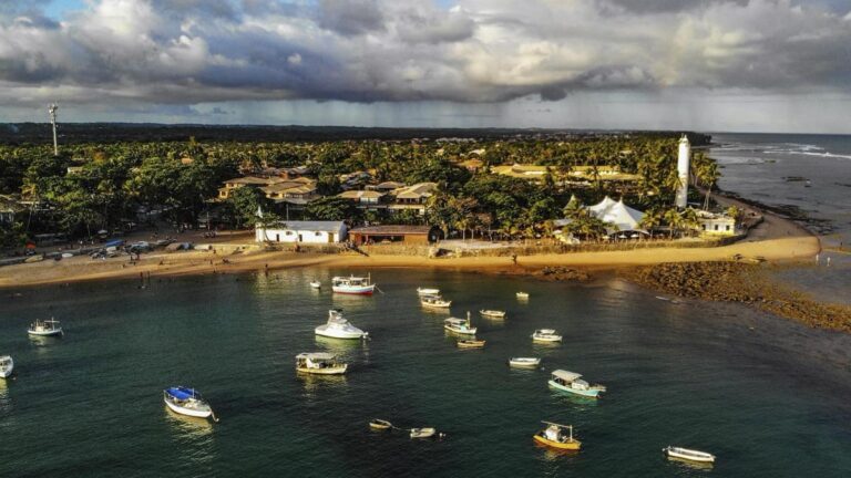 Festival Tempero no Forte 2025 celebra os “Sabores da Terra”