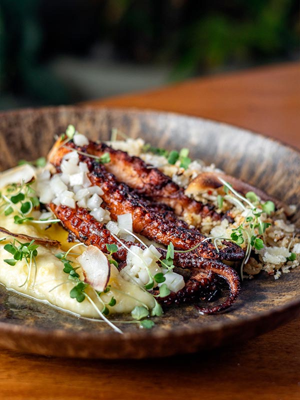 Conheça os participantes do 19º Festival Tempero no Forte: chefs, pratos e sabores do Litoral Norte tivoli01