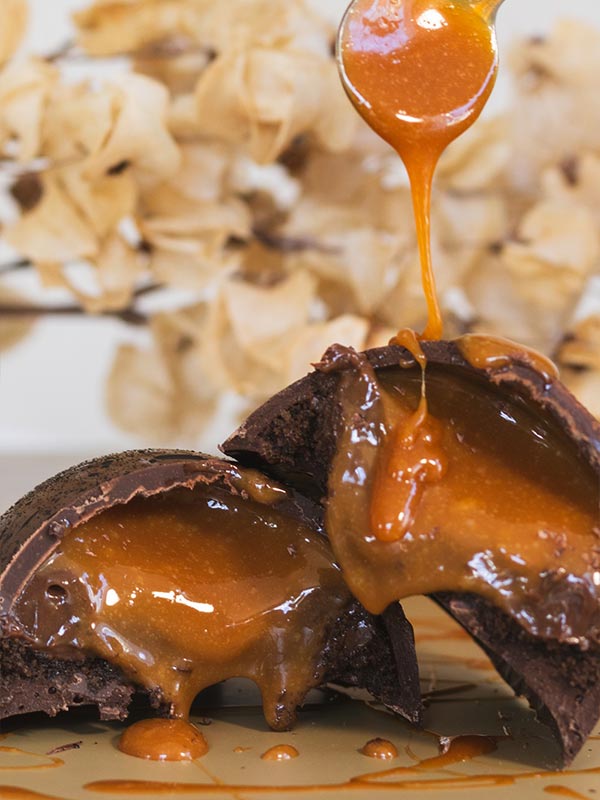 jeanne garcia pascoa 2026 devils