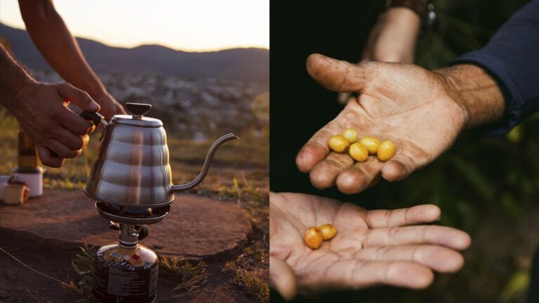 O café merece mais do que um dia no calendário