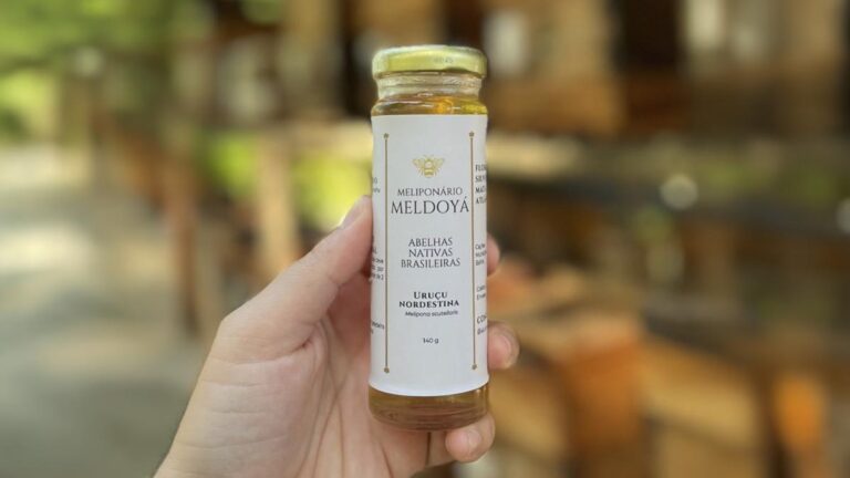 Mel de abelha sem ferrão produzido no Recôncavo é eleito melhor do Brasil