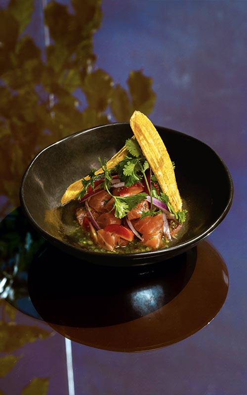 Mōrea renova o Lunch Experience e transforma o almoço de fim de semana no Horto Florestal ceviche